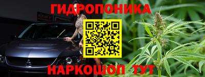 тгк Аша