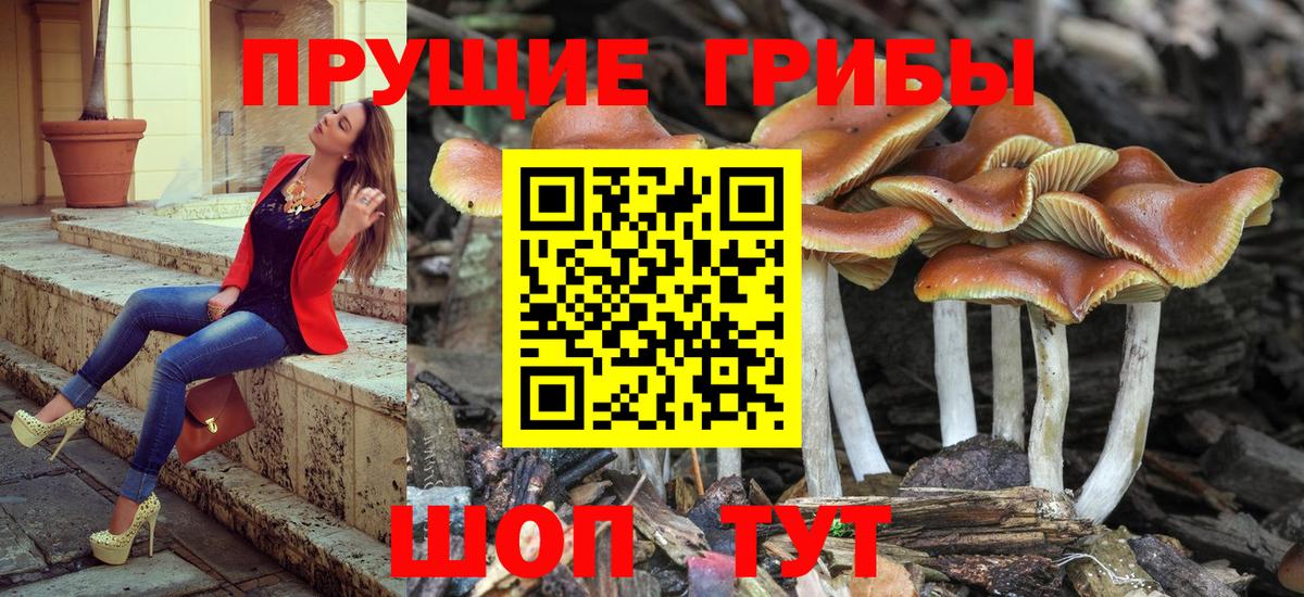 Псилоцибиновые грибы прущие грибы Когалым
